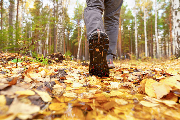 best lightweight hiking shoes