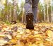 best lightweight hiking shoes